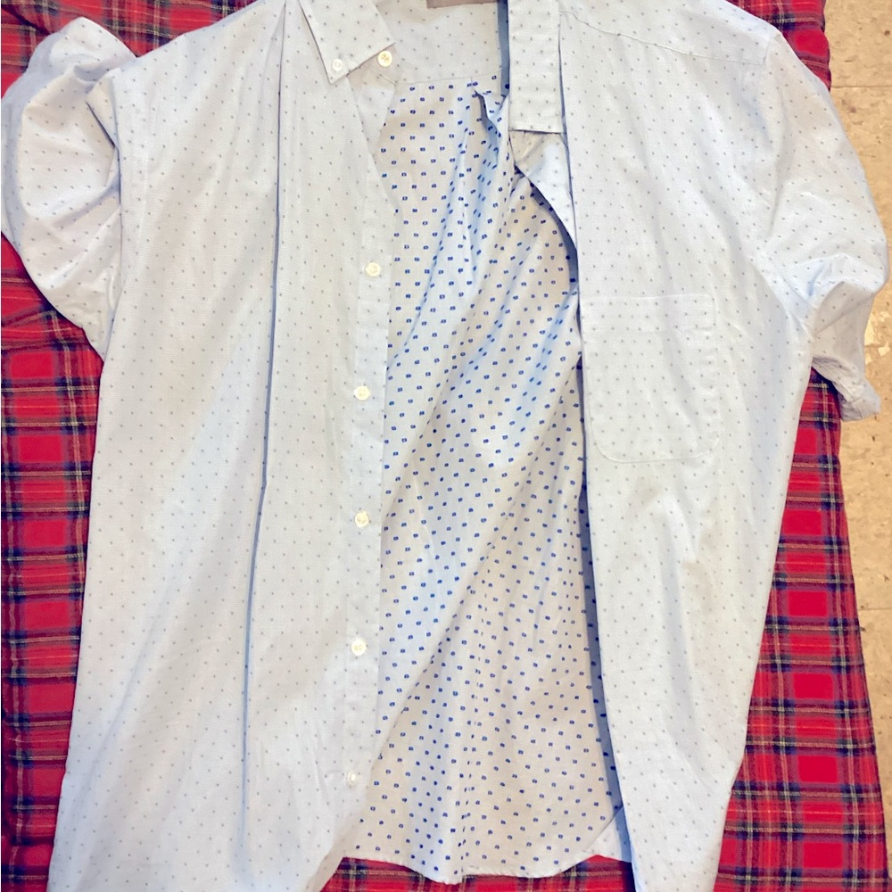 Daniel Cremieux Signature Collection Large - Blue Button Up